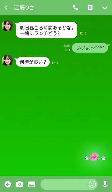 [LINE着せ替え] リラックス効果があるハイビスカスの画像3