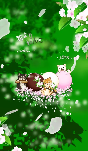 [LINE着せ替え] 花よりわんこ4（柴犬、桜、夏、緑）の画像1