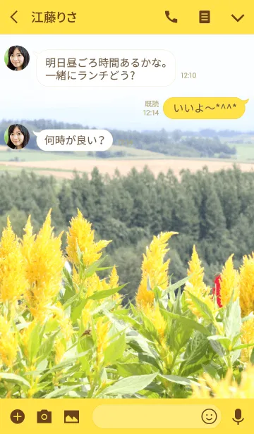 [LINE着せ替え] 夏の北海道の風景「ケイトウ(花)と丘」の画像3