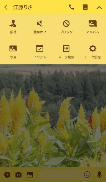 [LINE着せ替え] 夏の北海道の風景「ケイトウ(花)と丘」の画像4