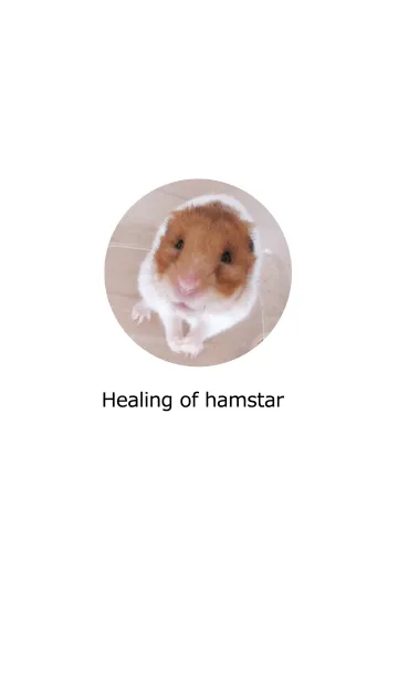 [LINE着せ替え] Healing of hamsterの画像1