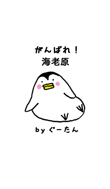 [LINE着せ替え] 「海老原」専用着せかえ by ぐーたんの画像1