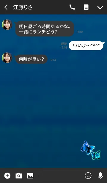 [LINE着せ替え] 光の向こう側の蝶々の画像3