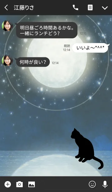 [LINE着せ替え] Dream of a cat light moon -宵闇の月-の画像3