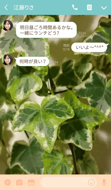 [LINE着せ替え] 観葉植物(アイビー)のテーマ Ver.カラフルの画像3