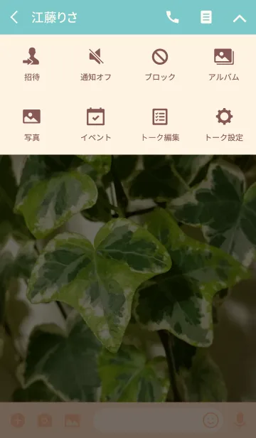 [LINE着せ替え] 観葉植物(アイビー)のテーマ Ver.カラフルの画像4