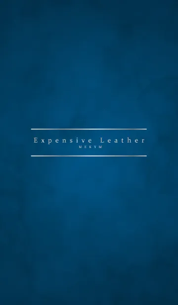 [LINE着せ替え] Expensive Leather -SILVER-の画像1