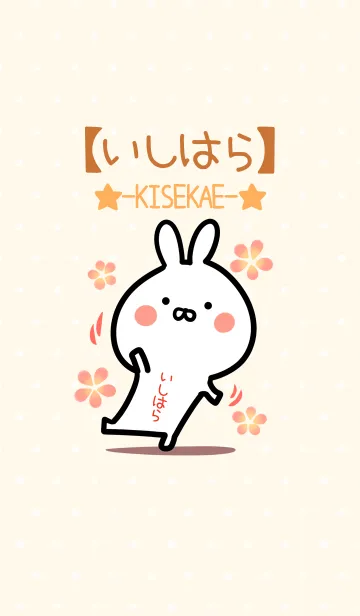 [LINE着せ替え] ☆【いしはら】のウサギ着せかえ☆の画像1