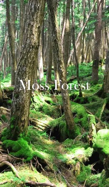 [LINE着せ替え] Moss Forestの画像1
