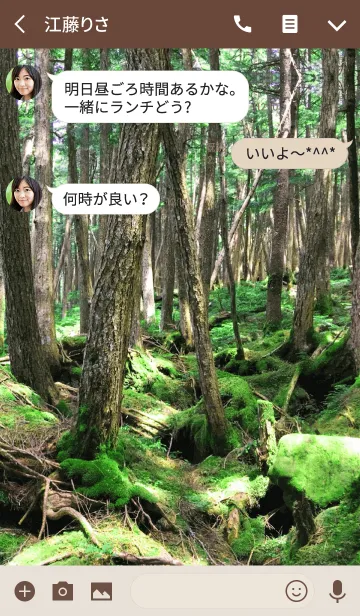 [LINE着せ替え] Moss Forestの画像3