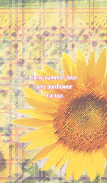 [LINE着せ替え] Early summer love and sunflower Tartanの画像1