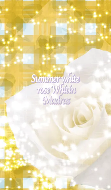 [LINE着せ替え] Summer white rose Whitin Madrasの画像1