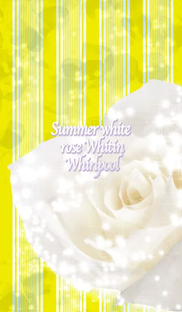 [LINE着せ替え] Summer white rose Whitin Whirlpoolの画像1