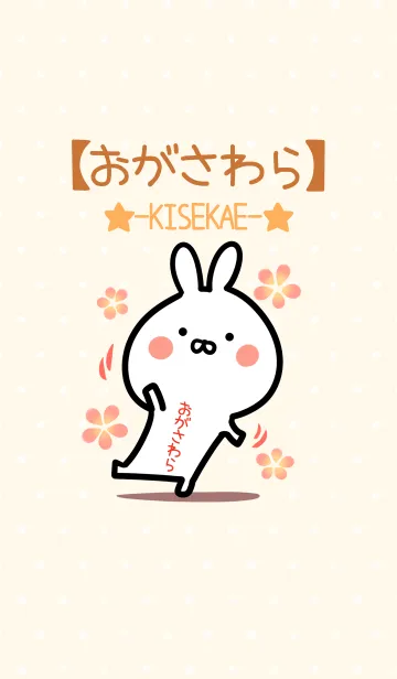 [LINE着せ替え] ☆【おがさわら】のウサギ着せかえ☆の画像1