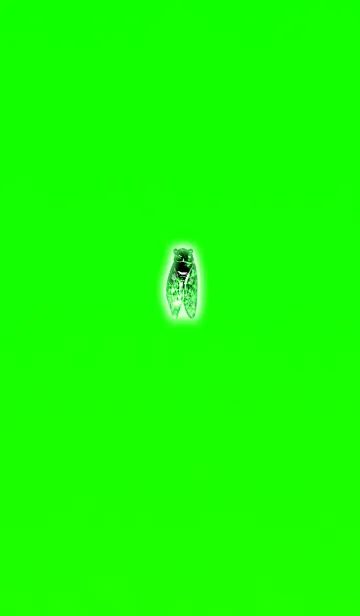 [LINE着せ替え] 健康になるセミを捕まえろの画像1