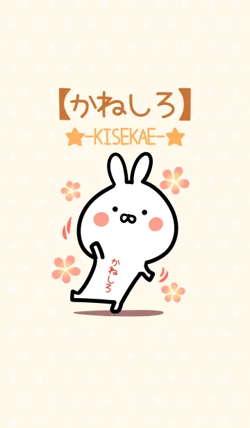 [LINE着せ替え] ☆【かねしろ】のウサギ着せかえ☆の画像1