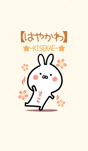 [LINE着せ替え] ☆【はやかわ】のウサギ着せかえ☆の画像1