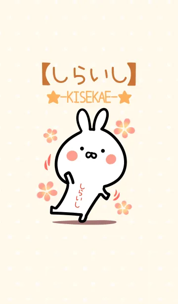 [LINE着せ替え] ☆【しらいし】のウサギ着せかえ☆の画像1