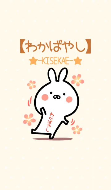 [LINE着せ替え] ☆【わかばやし】のウサギ着せかえ☆の画像1