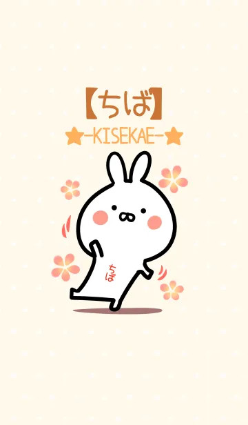 [LINE着せ替え] ☆【ちば】のウサギ着せかえ☆の画像1