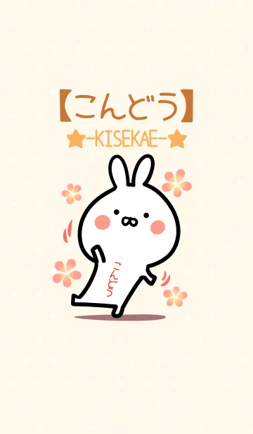 [LINE着せ替え] ☆【こんどう】のウサギ着せかえ☆の画像1