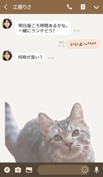 [LINE着せ替え] とらだにゃーん。の画像3