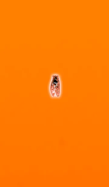 [LINE着せ替え] 夏だ。セミを捕まえろの画像1