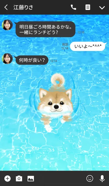 [LINE着せ替え] 柴犬 -Dog Swimming-の画像3