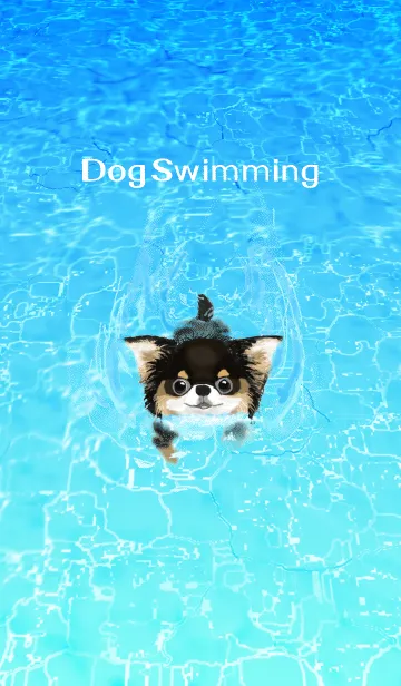 [LINE着せ替え] チワワ -Dog Swimming-の画像1