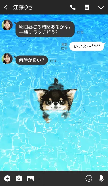 [LINE着せ替え] チワワ -Dog Swimming-の画像3