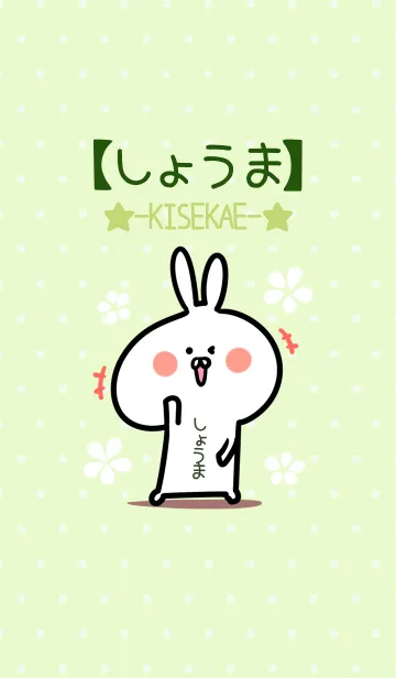 [LINE着せ替え] ☆【しょうま】のウサギ着せかえ☆Green☆の画像1