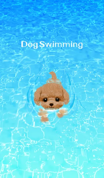 [LINE着せ替え] トイプードル -Dog Swimming-の画像1