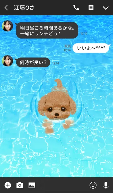 [LINE着せ替え] トイプードル -Dog Swimming-の画像3