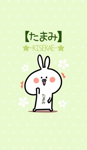 [LINE着せ替え] ☆【たまみ】のウサギ着せかえ☆Green☆の画像1