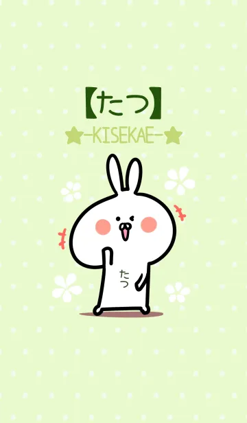 [LINE着せ替え] ☆【たつ】のウサギ着せかえ☆Green☆の画像1