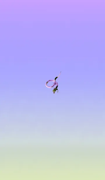 [LINE着せ替え] 幸運を運ぶ龍パープルイエローの画像1