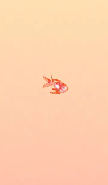 クリスタル金魚オレンジの着せ替えメイン画像
