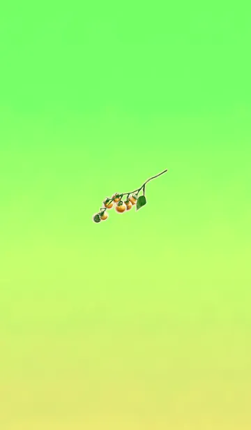 [LINE着せ替え] 夏トマトグリーンの画像1