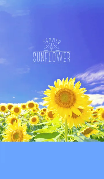 [LINE着せ替え] summer sunflower*の画像1