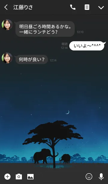 [LINE着せ替え] ゾウたちの夜の画像3