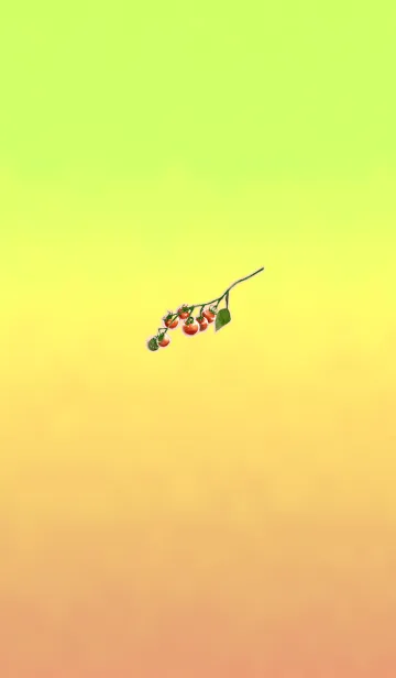 [LINE着せ替え] 夏トマトイエローグリーンの画像1