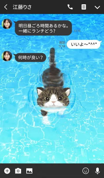 [LINE着せ替え] 泳ぐ猫 : 1の画像3
