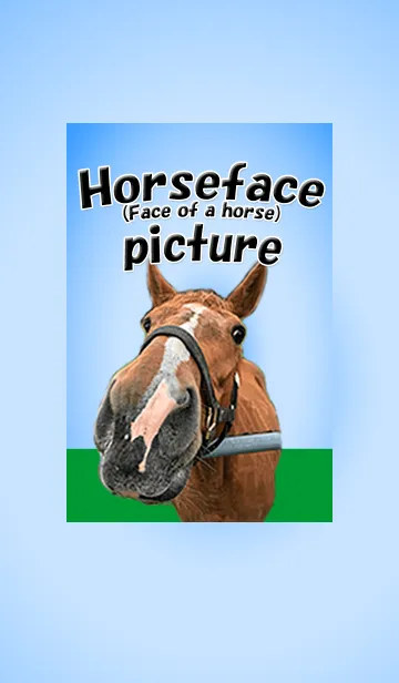 [LINE着せ替え] 馬面(馬の顔)写真その1の画像1