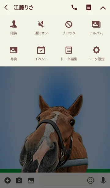 [LINE着せ替え] 馬面(馬の顔)写真その1の画像4