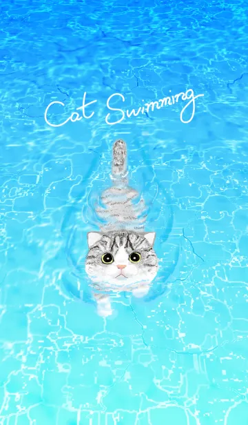 [LINE着せ替え] 泳ぐ猫 : 2の画像1