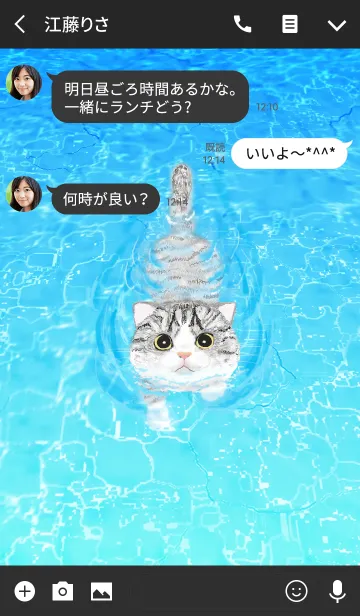 [LINE着せ替え] 泳ぐ猫 : 2の画像3