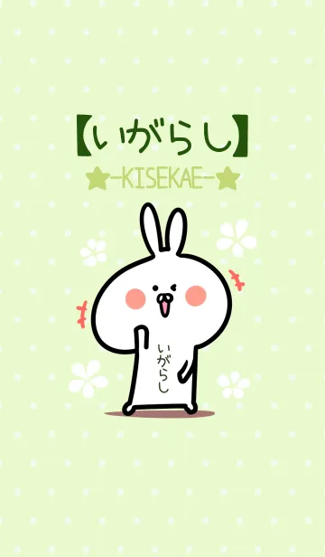 [LINE着せ替え] ☆【いがらし】のウサギ着せかえ☆Green☆の画像1