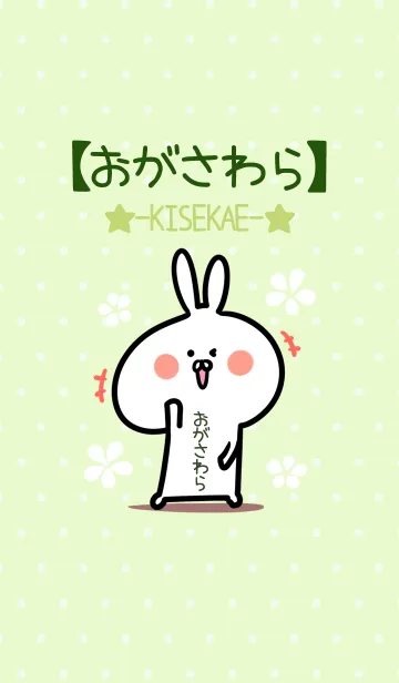 [LINE着せ替え] ☆【おがさわら】のウサギ着せかえ☆Greenの画像1