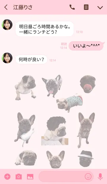 [LINE着せ替え] 我が家のアイドル犬の画像3