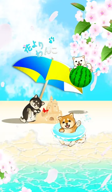 [LINE着せ替え] 花よりわんこ5（夏、海、柴犬、桜）の画像1